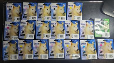 Set 18 Cartucce Sigillate Epson Lupo per R2880