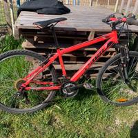Bicicletta