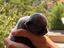 Immagine 4