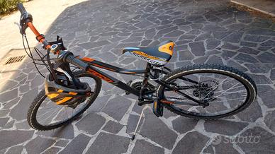 bicicletta vicini ruota 24