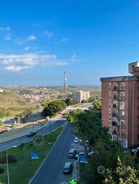 Appartamento in viale de filippis