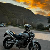 Honda hornet 600