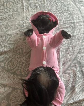 Vestitino chiwawa e cani piccoli rosa