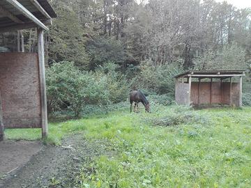 Terreno agricolo non edificabile