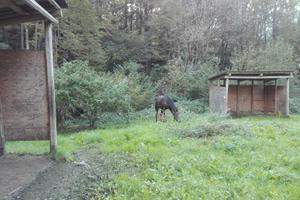 Terreno agricolo non edificabile