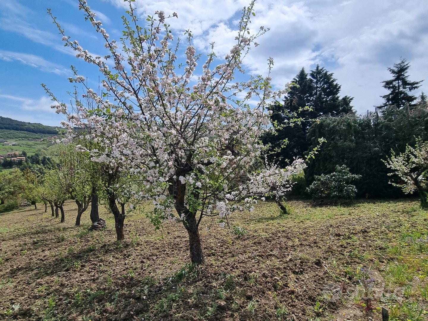 Terreno a Potenza - Vista 4