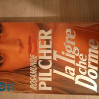 Libro La tigre che dorme