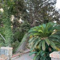 Casa In Calabria
