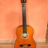 Chitarra Mod.ECO CS-10 