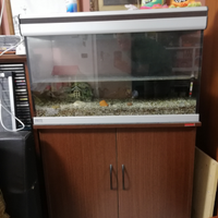 Acquario 80 lt con mobiletto