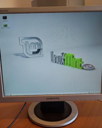 monitor VGA Samsung 19 pollici 