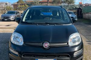 FIAT PANDA 1.0 HYBRID / PARI NUOVO - 2021