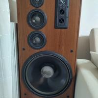 Stereo professionale completo – Ideale per amatori