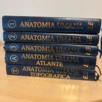 Atlante e Trattato Anatomia