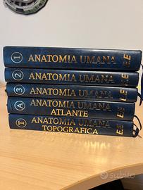 Atlante e Trattato Anatomia