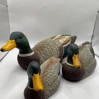 Set 3 decoy anatra Mallard Heritage Decoys  Canada