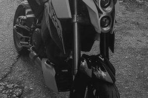 KTM Duke 690