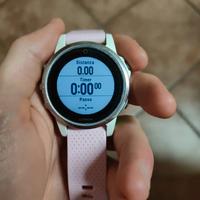 smartwatch Garmin Fenix 5s 