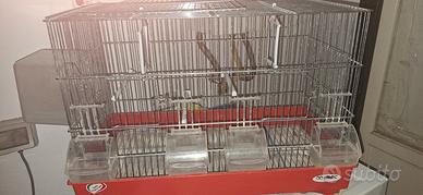 gabbia imac  separé uccellino 