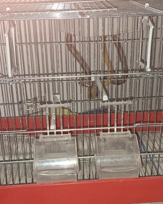 gabbia imac coniglio separé 