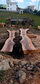 Assi di Leccio ultrasecolare