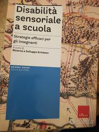 Disabilità sensoriale a scuola 