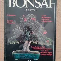 Bonsai Rivista Periodico d'informazione 1997