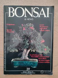 Bonsai Rivista Periodico d'informazione 1997