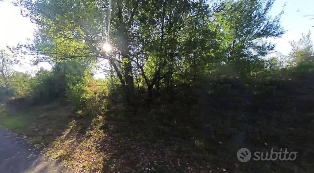 Immobile in asta di 44177 m² a Castellarano - Vista 3