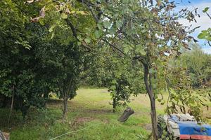 Terreno agricolo