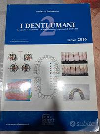 i denti umani 2