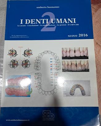 i denti umani 2