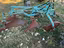 Immagine 5