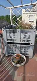 2 cassoni/bins in plastica grandi per orto/terrazo