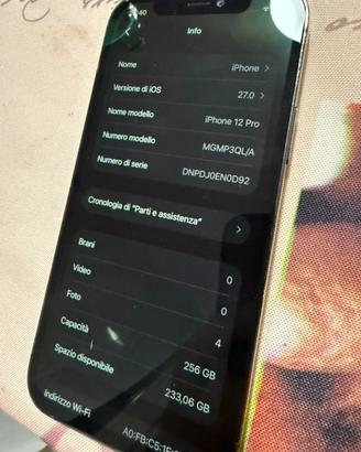 Iphone 12 pro 256 gb