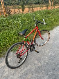 Bicicletta