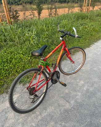 Bicicletta