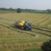 Prati da fienagione/foraggio