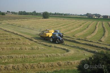 Prati da fienagione/foraggio