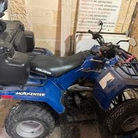 polaris 200 e ann0 2007 