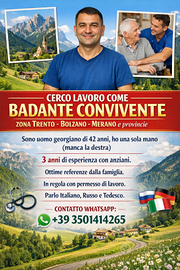 Badante