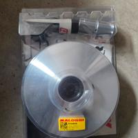 variatore malossi Mhr multivar 