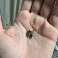 Charm pandora x marvel wolverine