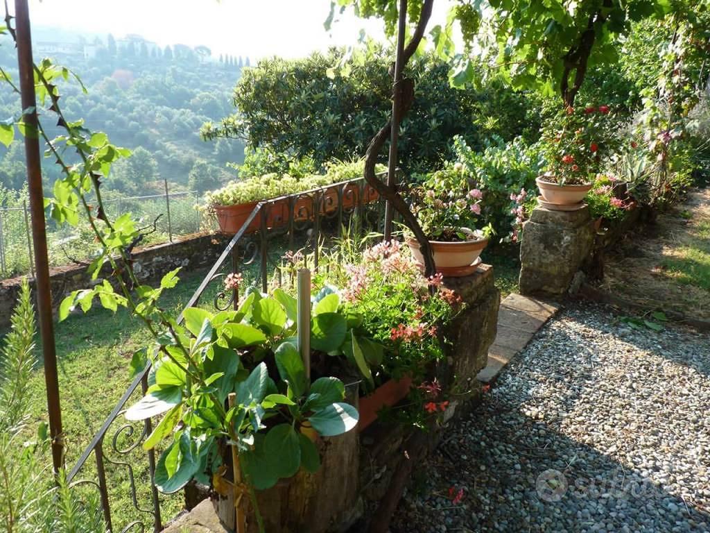 Rustico / Casale di 465 m² con più di 5 locali e b - Vista 5