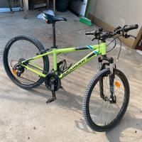 Bicicletta mtb