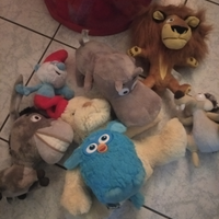 Peluche