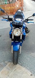 Hornet 900