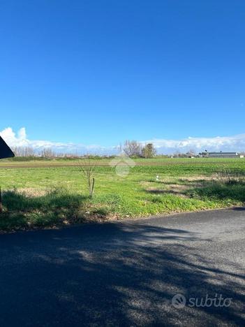 TER. AGRICOLO A SAN MARCELLINO