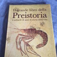 Preistoria Paleontologia Geologia