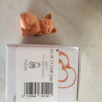 Gattino thun gli amici di Lenè